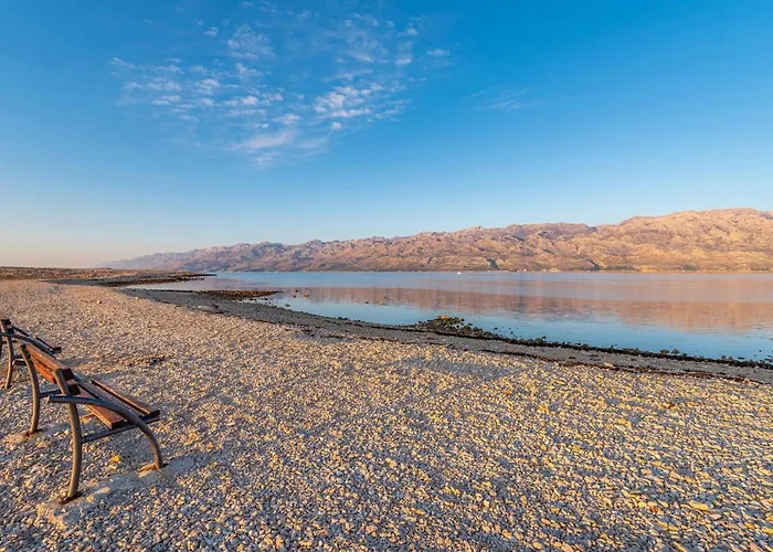 Opera *